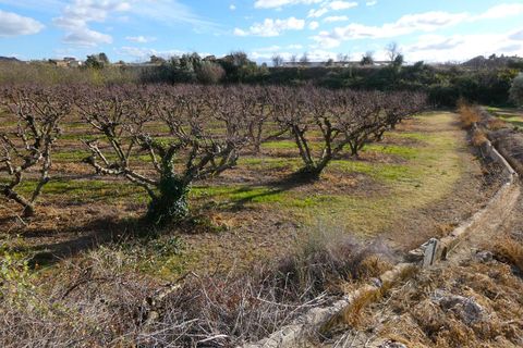 Finca i Maella, Zaragoza, Maella - € 26.000 | Ref: 0965 - foto 19