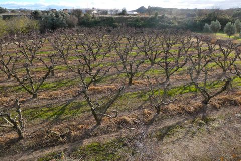 Finca i Maella, Zaragoza, Maella - € 26.000 | Ref: 0965 - foto 24