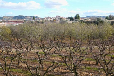 Finca i Maella, Zaragoza, Maella - € 26.000 | Ref: 0965 - foto 25