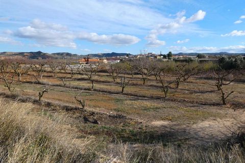 Finca i Maella, Zaragoza, Maella - € 26.000 | Ref: 0965 - foto 18
