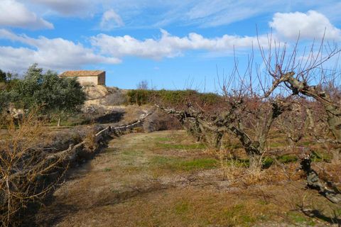Finca i Maella, Zaragoza, Maella - € 26.000 | Ref: 0965 - foto 23