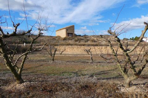 Finca i Maella, Zaragoza, Maella - € 26.000 | Ref: 0965 - foto 26