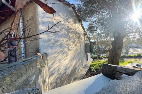Haus in Seravezza, Lucca, Seravezza - € 220.000 | Ref: 1998 - Foto 16