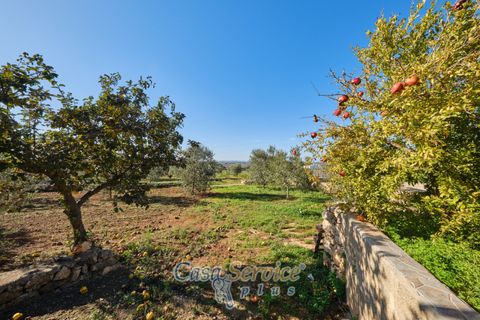 Villa a Taurisano, Lecce, Taurisano - € 170.000 | Ref: TUSS-170 - foto 38