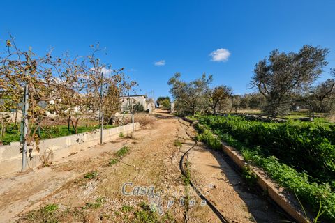 Villa a Taurisano, Lecce, Taurisano - € 170.000 | Ref: TUSS-170 - foto 39
