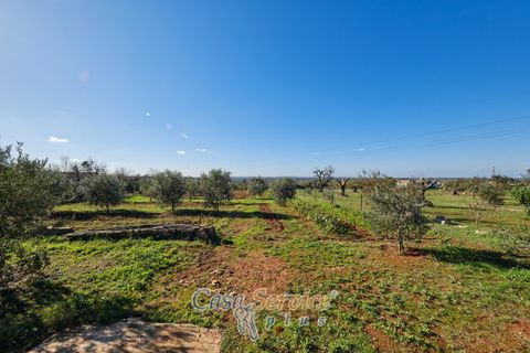 Villa a Taurisano, Lecce, Taurisano - € 170.000 | Ref: TUSS-170 - foto 40