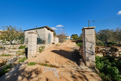 Villa a Taurisano, Lecce, Taurisano - € 170.000 | Ref: TUSS-170 - foto 41