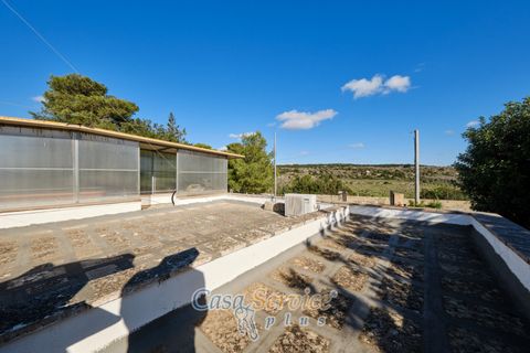 Villa a Taurisano, Lecce, Taurisano - € 170.000 | Ref: TUSS-170 - foto 44