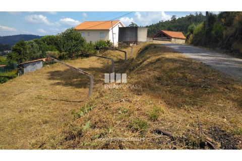 Helårsgrund i Barcelos, Braga, Barcelos - € 35.000 | Ref: VCM14106 - foto 5
