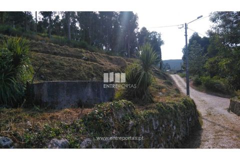 Helårsgrund i Barcelos, Braga, Barcelos - € 35.000 | Ref: VCM14106 - foto 15