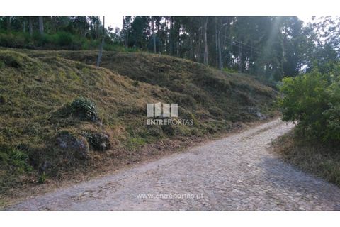 Helårsgrund i Barcelos, Braga, Barcelos - € 35.000 | Ref: VCM14106 - foto 18