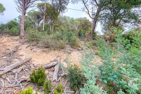 Helårsgrund i Lloret De Mar, Gerona, Lloret De Mar - € 46.000 | Ref: PAR0085 - foto 8
