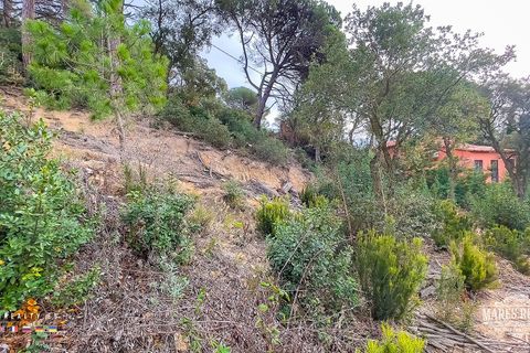 Helårsgrund i Lloret De Mar, Gerona, Lloret De Mar - € 46.000 | Ref: PAR0085 - foto 10