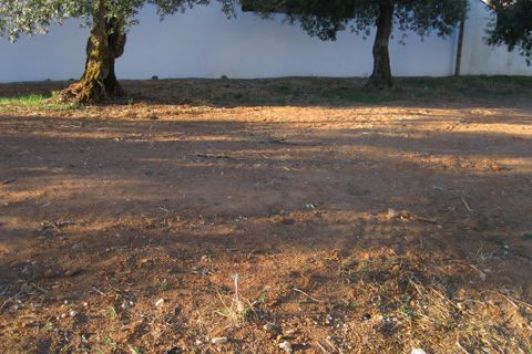 Helårsgrund i Entroncamento, Santarem, Entroncamento - € 38.500 | Ref: 2431 - foto 2