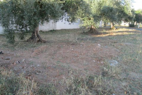 Helårsgrund i Entroncamento, Santarem, Entroncamento - € 46.000 | Ref: 2432 - foto 2