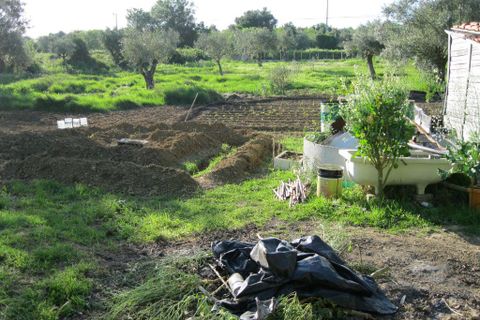 Helårsgrund i Tomar, Santarem, Tomar - € 15.000 | Ref: 1934 - foto 5