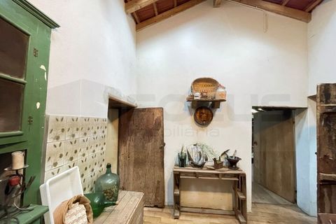 Erhvervsejendom i Angeja, Aveiro, Angeja - € 120.000 | Ref: AV23/227 - foto 12