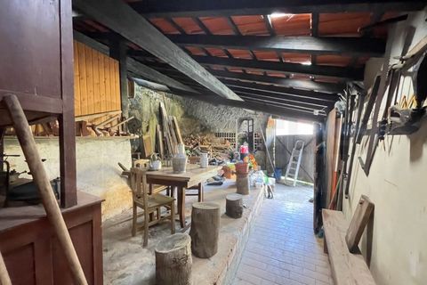 Erhvervsejendom i Angeja, Aveiro, Angeja - € 120.000 | Ref: AV23/227 - foto 19