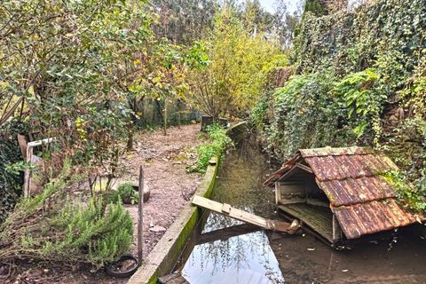 Erhvervsejendom i Angeja, Aveiro, Angeja - € 120.000 | Ref: AV23/227 - foto 28