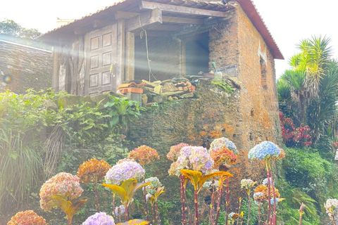 Erhvervsejendom i Angeja, Aveiro, Angeja - € 120.000 | Ref: AV23/227 - foto 33