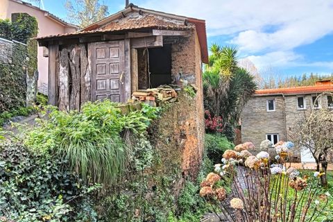 Erhvervsejendom i Angeja, Aveiro, Angeja - € 120.000 | Ref: AV23/227 - foto 37