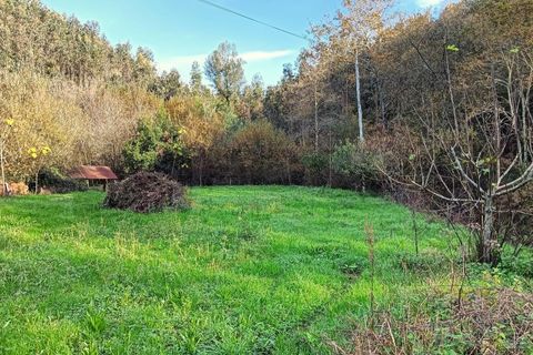 Erhvervsejendom i Angeja, Aveiro, Angeja - € 120.000 | Ref: AV23/227 - foto 42