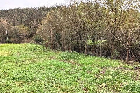 Erhvervsejendom i Angeja, Aveiro, Angeja - € 120.000 | Ref: AV23/227 - foto 43