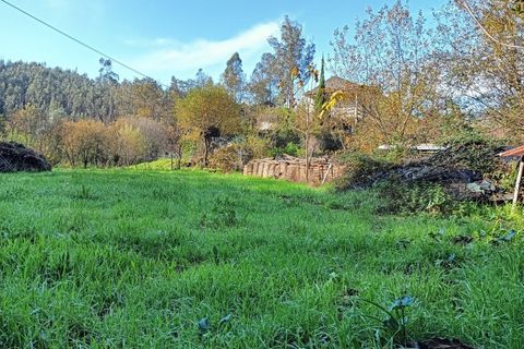Erhvervsejendom i Angeja, Aveiro, Angeja - € 120.000 | Ref: AV23/227 - foto 44