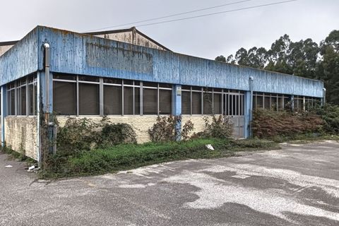 Bungalow i Vagos, Aveiro, Vagos - € 630.000 | Ref: AV23/225 - foto 1