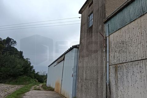 Bungalow i Vagos, Aveiro, Vagos - € 630.000 | Ref: AV23/225 - foto 3