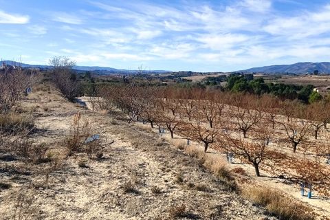 Helårsgrund i Bufali, Valencia, Bufali - € 49.000 | Ref: 8187 - foto 3