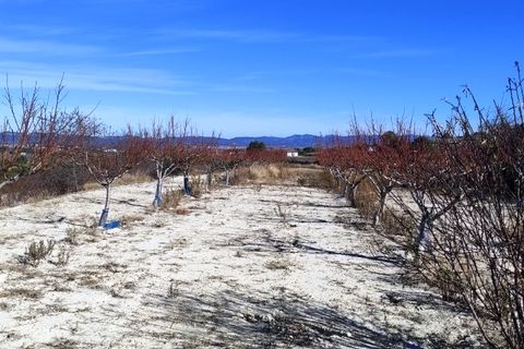 Helårsgrund i Bufali, Valencia, Bufali - € 49.000 | Ref: 8187 - foto 4