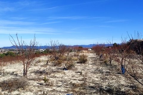 Helårsgrund i Bufali, Valencia, Bufali - € 49.000 | Ref: 8187 - foto 5