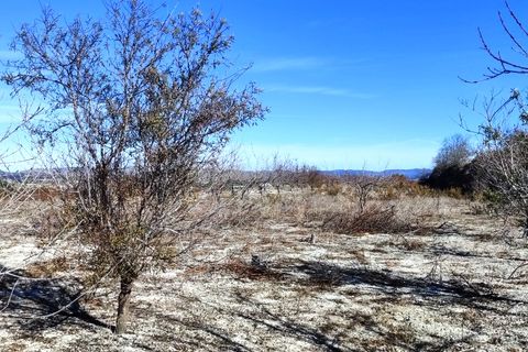 Helårsgrund i Bufali, Valencia, Bufali - € 49.000 | Ref: 8187 - foto 6