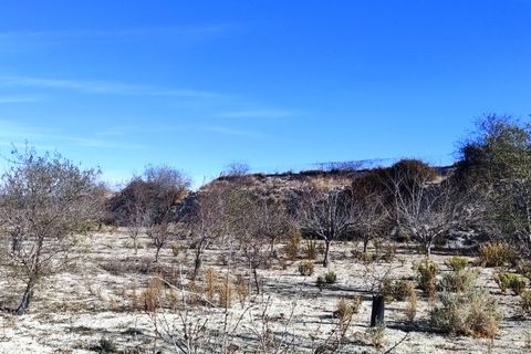 Helårsgrund i Bufali, Valencia, Bufali - € 49.000 | Ref: 8187 - foto 7