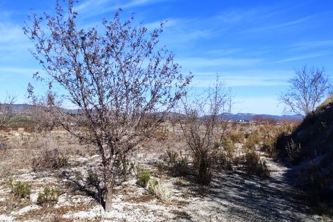 Helårsgrund i Bufali, Valencia, Bufali - € 49.000 | Ref: 8187 - foto 8