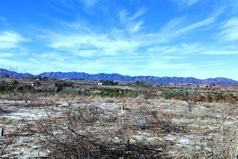 Helårsgrund i Bufali, Valencia, Bufali - € 49.000 | Ref: 8187 - foto 9
