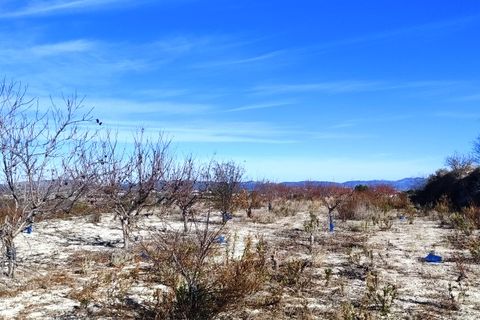 Helårsgrund i Bufali, Valencia, Bufali - € 49.000 | Ref: 8187 - foto 10