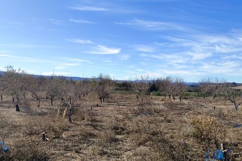 Helårsgrund i Bufali, Valencia, Bufali - € 49.000 | Ref: 8187 - foto 11