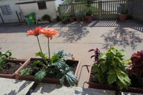Leilighet i Corbola, Rovigo, Corbola - € 70 000 | Ref: SI0665 - foto 3