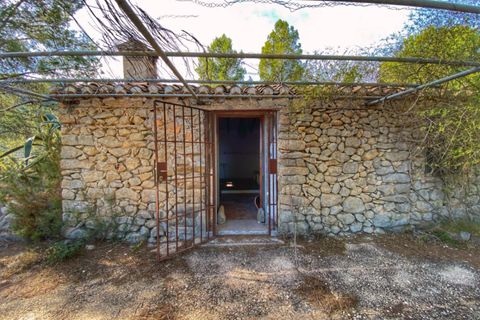 Helårsgrund i Jalon, Alicante, Jalon - € 220.000 | Ref: 001420 - foto 11
