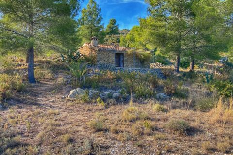 Helårsgrund i Jalon, Alicante, Jalon - € 220.000 | Ref: 001420 - foto 12