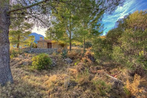Helårsgrund i Jalon, Alicante, Jalon - € 220.000 | Ref: 001420 - foto 15