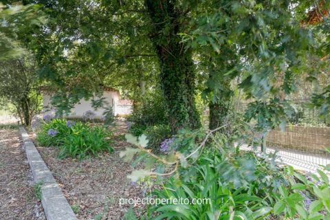 Farm i Estarreja, Aveiro, Estarreja - € 880.000 | Ref: 3486 - foto 3