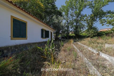 Farm i Estarreja, Aveiro, Estarreja - € 880.000 | Ref: 3486 - foto 4