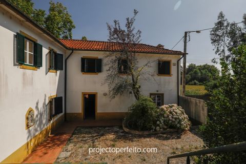 Farm i Estarreja, Aveiro, Estarreja - € 880.000 | Ref: 3486 - foto 5