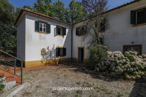 Farm i Estarreja, Aveiro, Estarreja - € 880.000 | Ref: 3486 - foto 10