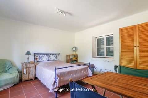 Farm i Estarreja, Aveiro, Estarreja - € 880.000 | Ref: 3486 - foto 13