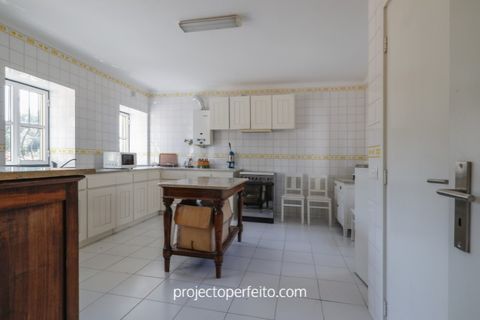 Farm i Estarreja, Aveiro, Estarreja - € 880.000 | Ref: 3486 - foto 17