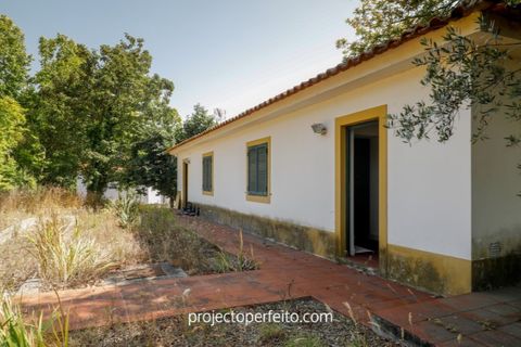 Farm i Estarreja, Aveiro, Estarreja - € 880.000 | Ref: 3486 - foto 18